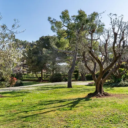 Eden Bleu, Parking, Piscine, Tennis Et Soleil Apartment Antibes